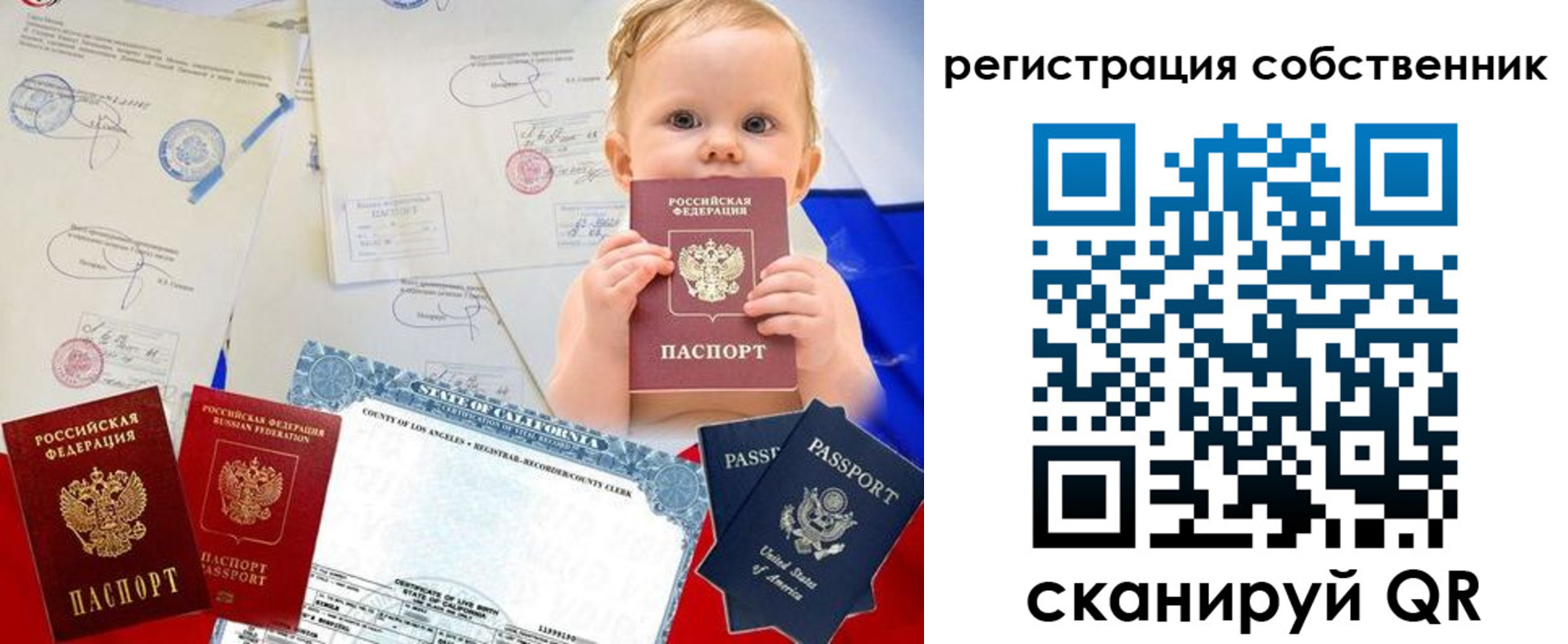 где прописаться в Александрове
